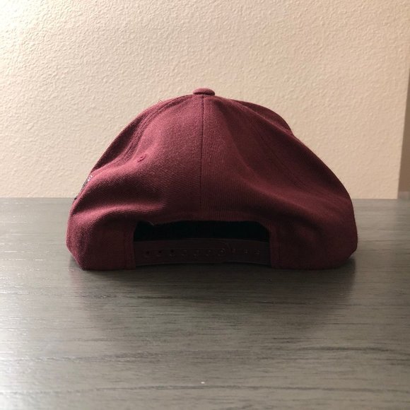 Fall Brewing Company Craft Beer Hat - Picture 2 of 2